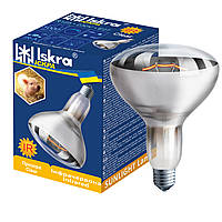 Лампа інфрачервона для обігріву R125 250W E27 прозора ТМ "Іскра"