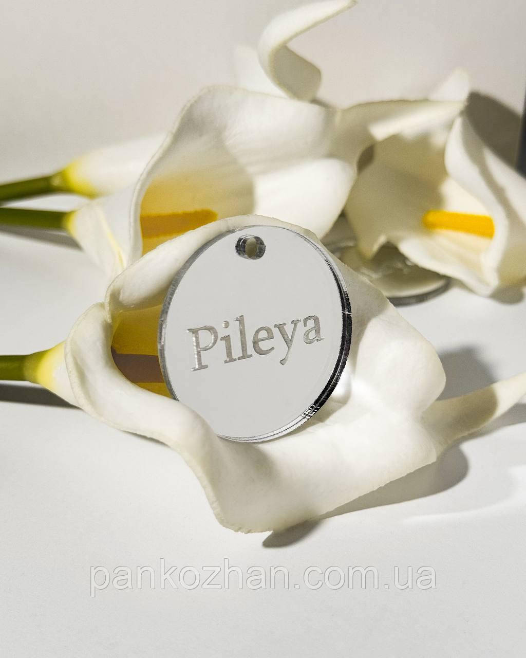 Бірка декоративна з акрилу коло з індивідуальним логотипом срібло, фото 1