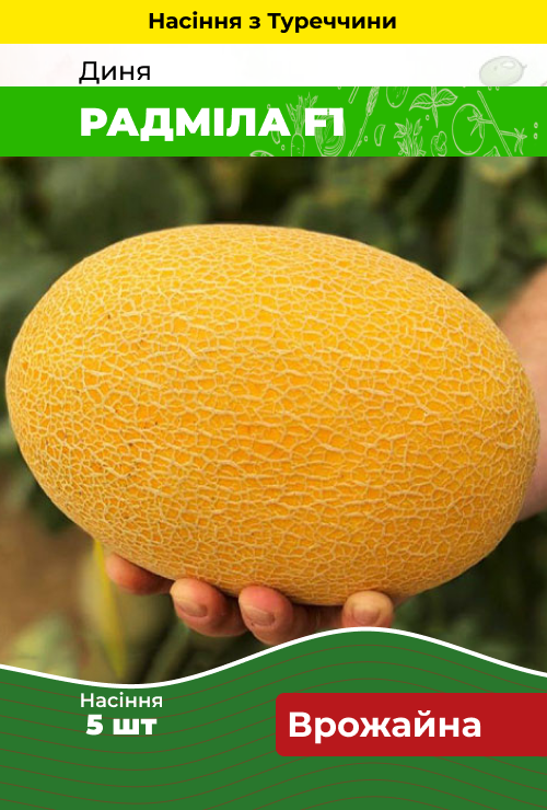 Насіння Диня Радміла F1 5 шт (Туреччина) зіп-пакет, фото 1