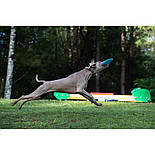 Фрізбі для гри з собакою Jetwag Waboba (301C06), фото 4