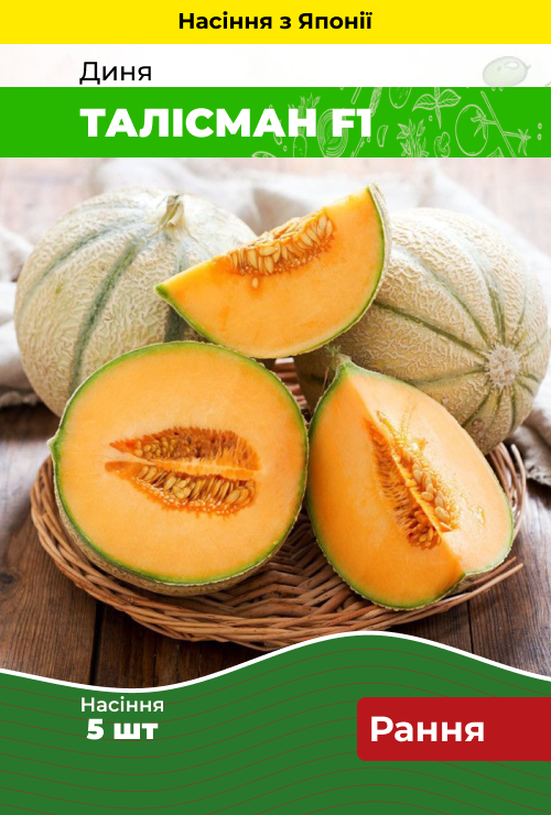 Насіння Диня Талісман F1 5 шт (Японія) зіп-пакет