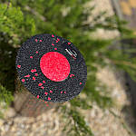 Масажний ролик (роллер) гладкий PowerPlay PP-4348 2 in 1 EPP Foam Roller Чорно/Червоний (33x14см.), фото 7