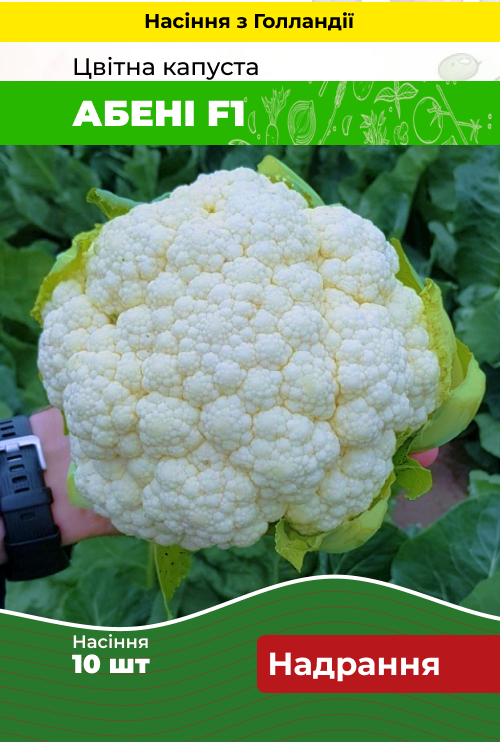 Насіння Капуста цвітна Абені F1 10 шт (Голландія) зіп-пакет