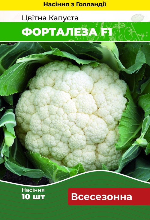 Насіння Капуста цвітна Форталеза F1 10 шт (Голландія) зіп-пакет