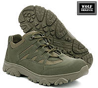 Тактические военные кроссовки хаки "DesertTrekking". Армейские ботинки зеленые, обувь для ВСУ. Wolf original