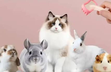 М’яка силіконова щітка для домашніх тварин AND LY-871