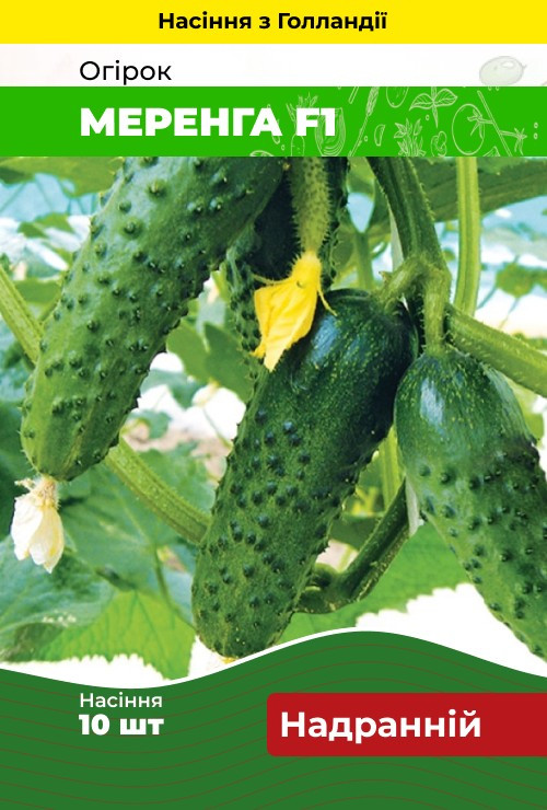 Насіння Огірок Меренга F1 10 шт (Голландія) зіп-пакет