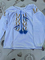 Опт Вишиванка для дівчаток з вишивкою колоски р. 122-146