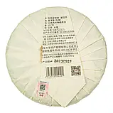 Чай Шен Пуер «Лун Фен Чен Сян Бін» 8503 серія Дракон і Фенікс 2023 рік, млинець 357 г, фото 7