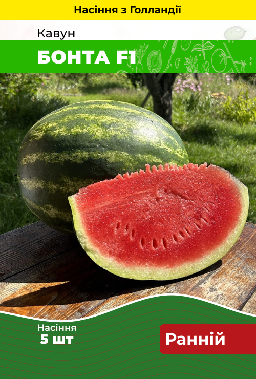 Насіння Кавун Бонта F1 5 шт (Голландія) зіп-пакет, фото 1