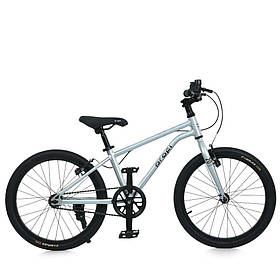 Велосипед дитячий Prof1 20д. сірий MB 20LIGHTY SILVER
