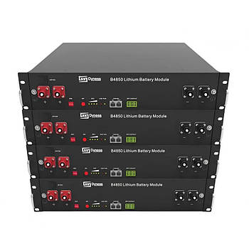 Акумуляторний блок 9.6 кВт 48V/200Ah LiFePO4 Dyness з BMS (літій-залізо-фосфатний акумулятор для ДБЖ)