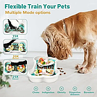 Миска для годування собак у формі кісточки із силіконовим килимком Henry Cary, фото 7