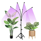 Світлодіодна фітолампа для росту рослин та розсади Gardlov Повний спектр 4 голови(19388), фото 5