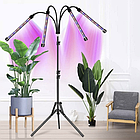 Світлодіодна фітолампа для росту рослин та розсади Gardlov Повний спектр 4 голови(19388), фото 6