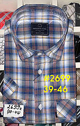 Сорочка з коротким рукавом в клітку Brossard 100% котон