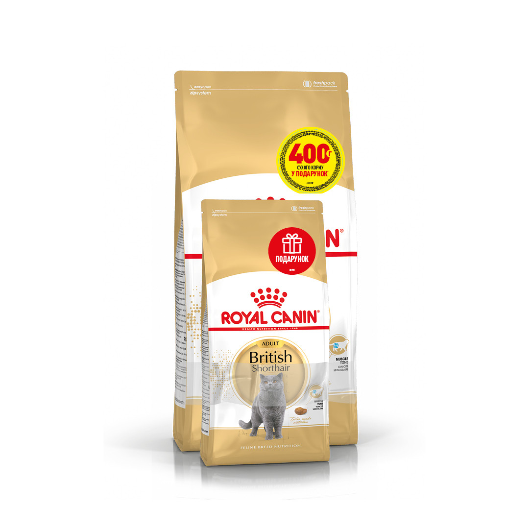 Корм для котів ROYAL CANIN BRITISH SHORTHAIR ADULT 2 кг + 400 г у подарунок