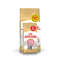Корм для кошенят ROYAL CANIN KITTEN BRITISH SHORTHAIR 2 кг + 400 г у подарунок