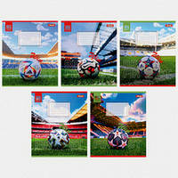 Зошит шкільний 1Вересня 48 аркушів клітинка Win (10)