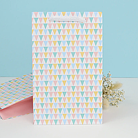 Подарунковий пакет "Прапорці" 25х16х7 см