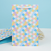 Подарунковий пакет "Соти" 25х16х7 см