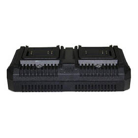 Зарядний пристрій Rebiner RACH-20/2