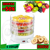 Харчова сушарка дегідратор з технологією рівномірного сушіння 5 секцій 800 Вт Пристрій для сушіння ягід і грибів з піддоном