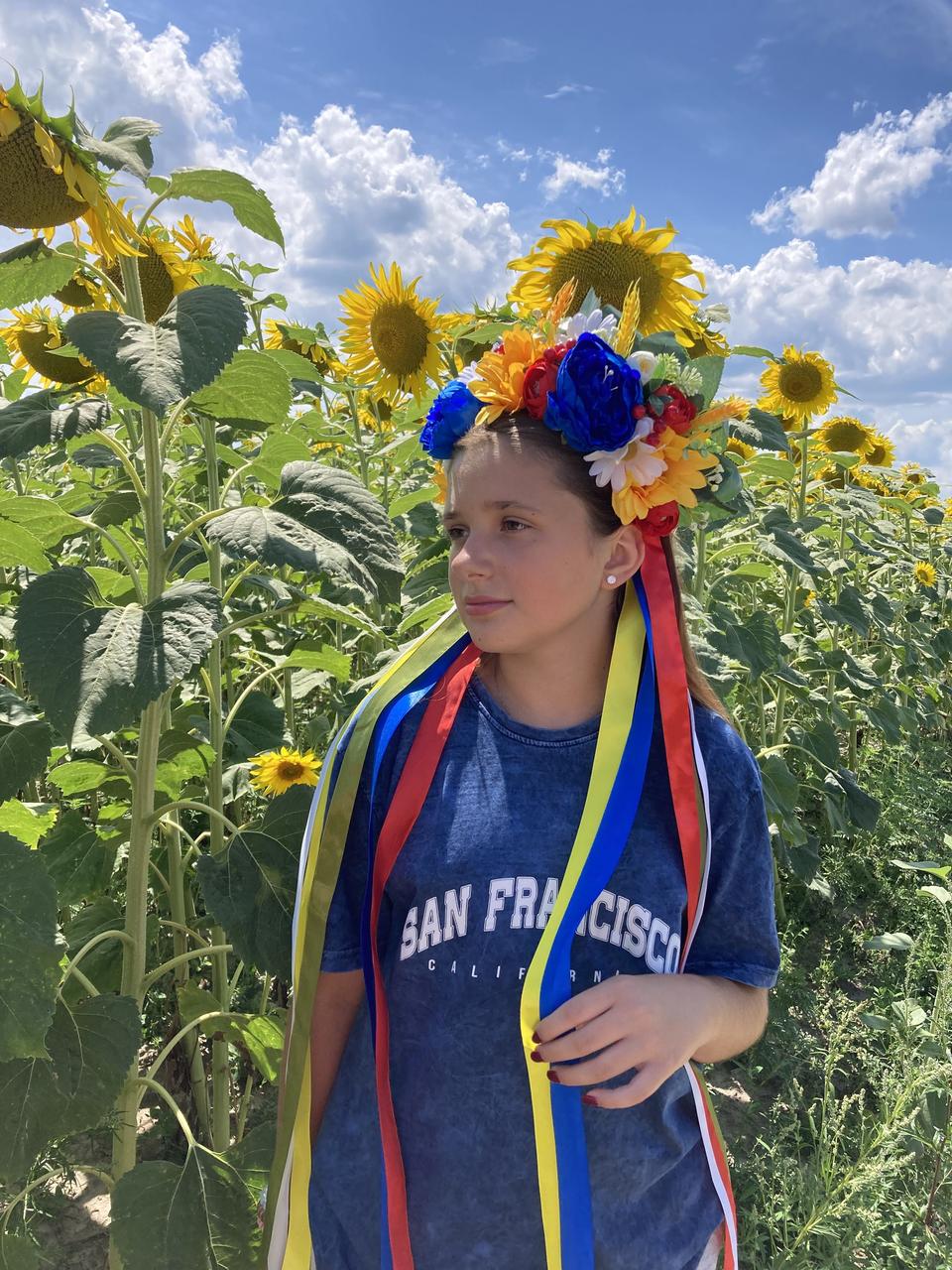 Український вінок на голову з об'ємними польовими квітами та стрічками, фото 1