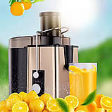 Соковитискач побутовий електричний HM-620 Hoffmans Electronics відцентровий для фруктів та овочів на 800 Вт, фото 3