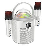 Колонка портативна HOCO BS59 Pearlescent BT speaker with 2 мікрофони |BT5.1, TWS/TF/AUX, 5h| Grey, фото 2