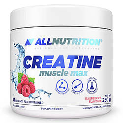 Креатин моногідрат Allnutrition Creatine Muscle Max 250 г