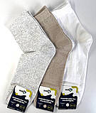 Шкарпетки чоловічі класичні високі світле асорті 25-27 р. (12 пар!) (Демісезонні), фото 2