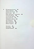 Наталія Брижко-Запур - Книга Я тут. Ми тут. Ми всі — це Україна. Феномен Володимира Зеленського, фото 4
