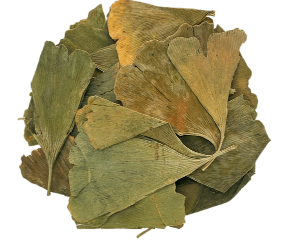 Листя Гінкго 500 гр