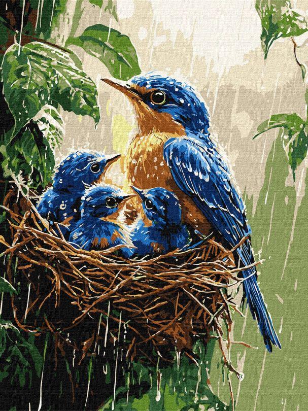 Картина за номерами Ідейка Весняний дощ ©art_selena_ua (KHO6741) 30 х 40 см, фото 1