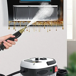 Пароочисники