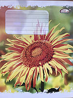 Зошит шкільний 12 аркушів в косу лінію ТМ Бріск ТВ-47