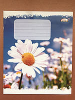 Зошит шкільний 12 аркушів в косу лінію ТМ Бріск ТВ-47