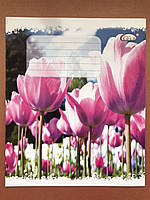 Зошит шкільний 12 аркушів в косу лінію ТМ Бріск ТВ-47