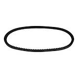 Ремінь генератора ВАЗ 2108, ЗАЗ 1102 зубчастий (10х710) [Dayco] 9091602028, фото 2