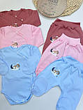 Комплект для новонароджених: боді + повзунці з інтерлоку, фото 6