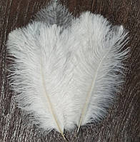 Пір'я страуса Натуральне перо Біле 23-30см