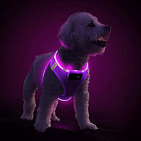 Светящаийся ошейник для собак