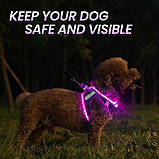 Нашийник для собак що світиться, фото 2