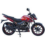 Мотоцикл SP200R-31, фото 2