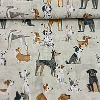 Польська бязь "Собаки на бежевому" 160 см, фото 3