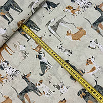 Польська бязь "Собаки на бежевому" 160 см, фото 2