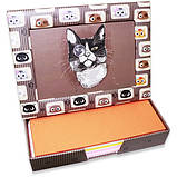 Фоторамка-диспенсер 9х13 см FrameNote, з блоком паперу для нотаток «Кіт із моноклемом», фото 3