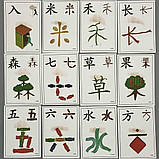 Двосторонні картки для вивчення китайської мови - Chinese for Kids 1а, фото 2