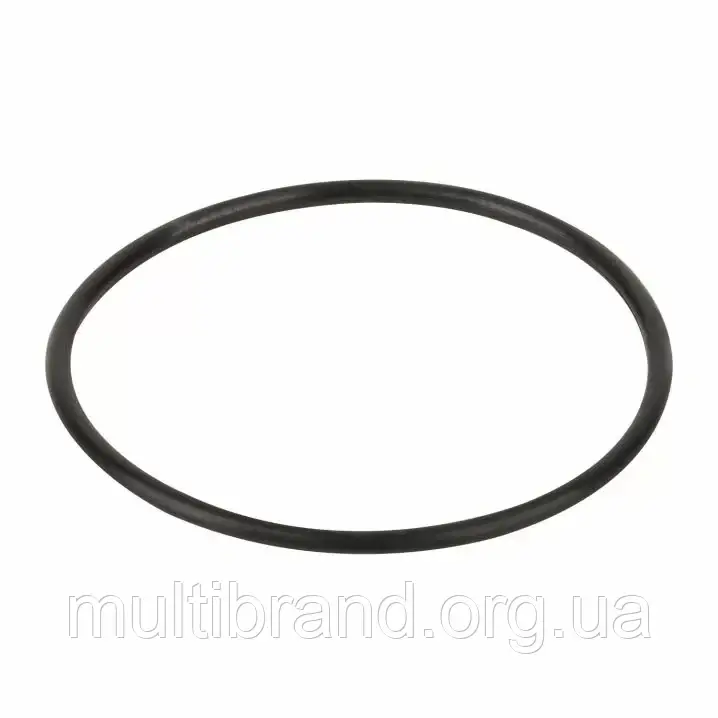 Уплотнительное кольцо диффузора Emaux (02011004)